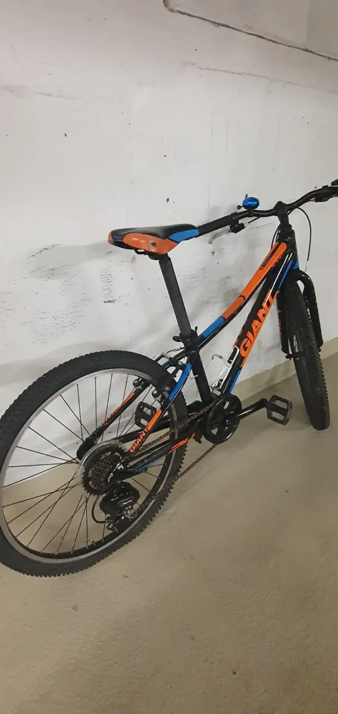 Giant Kids Bike - Black and Orange