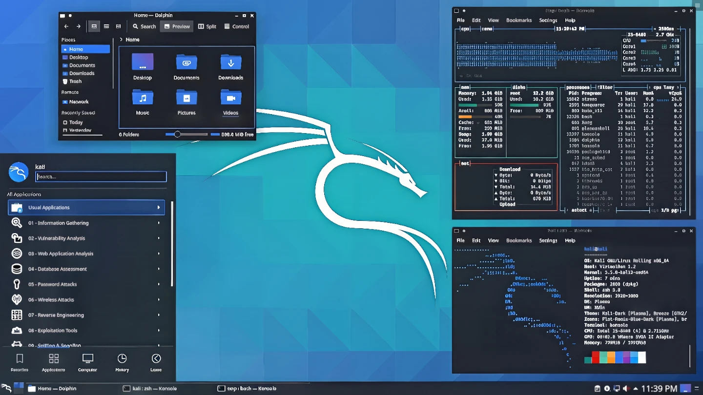 Kali Linux 2025 Latest Version Installation Disc: BOOTABLE DVD - photo 4