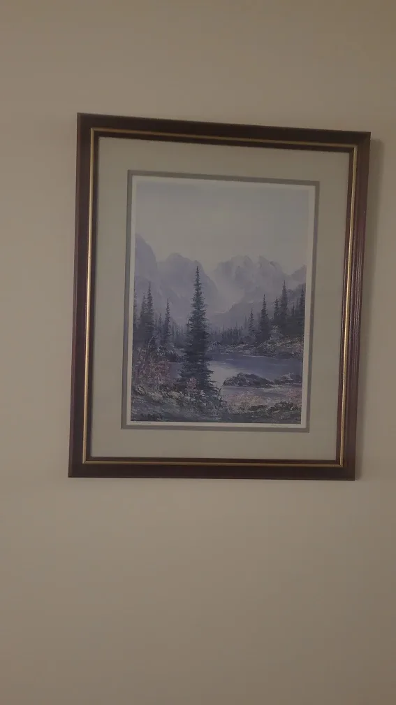 2 beautiful pictures 35$