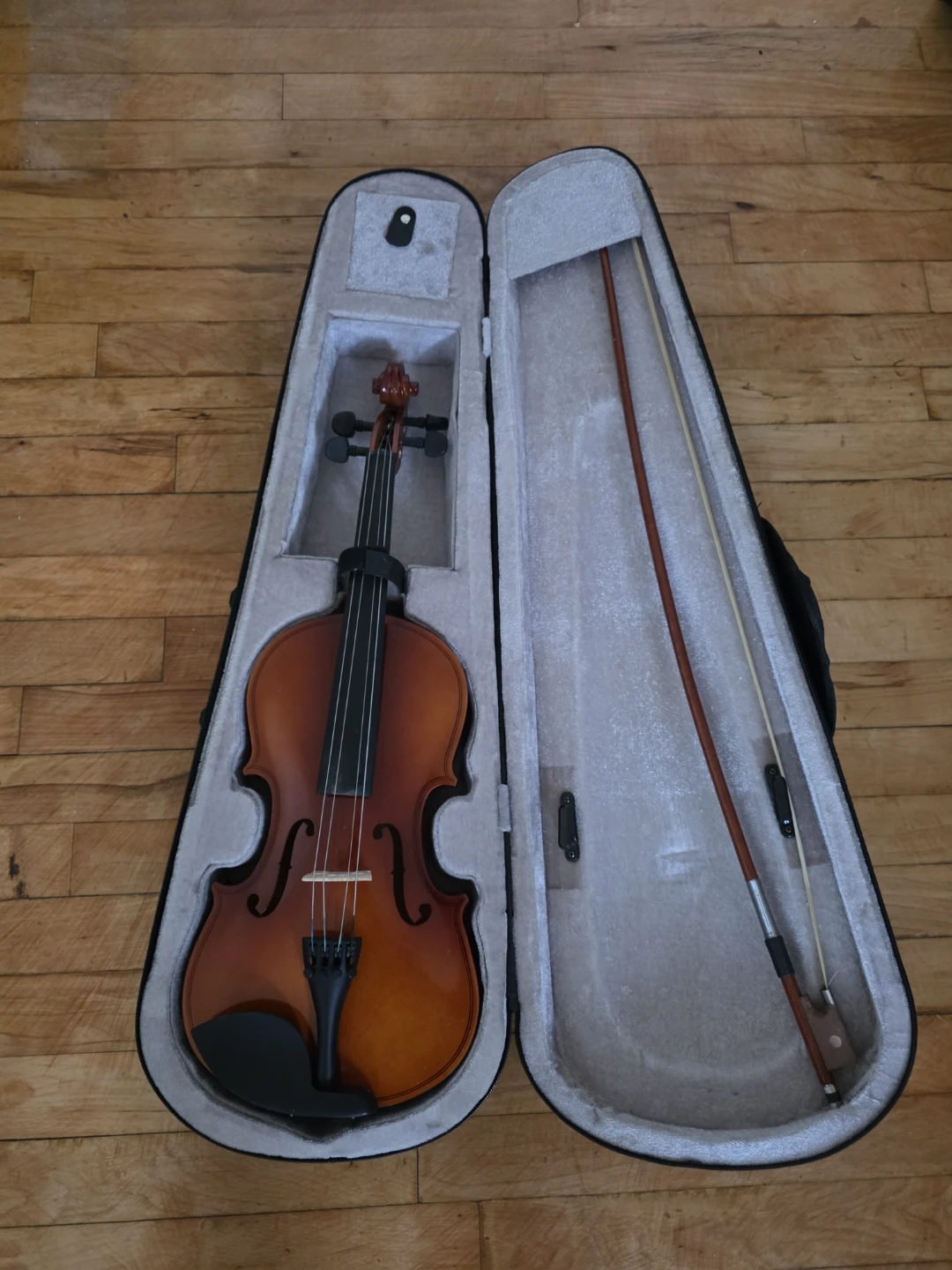 Violin with Case and Bow