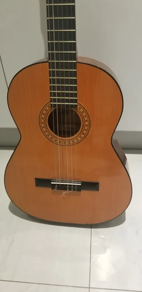 Alhambra Paloma Guitar image indicator(4)