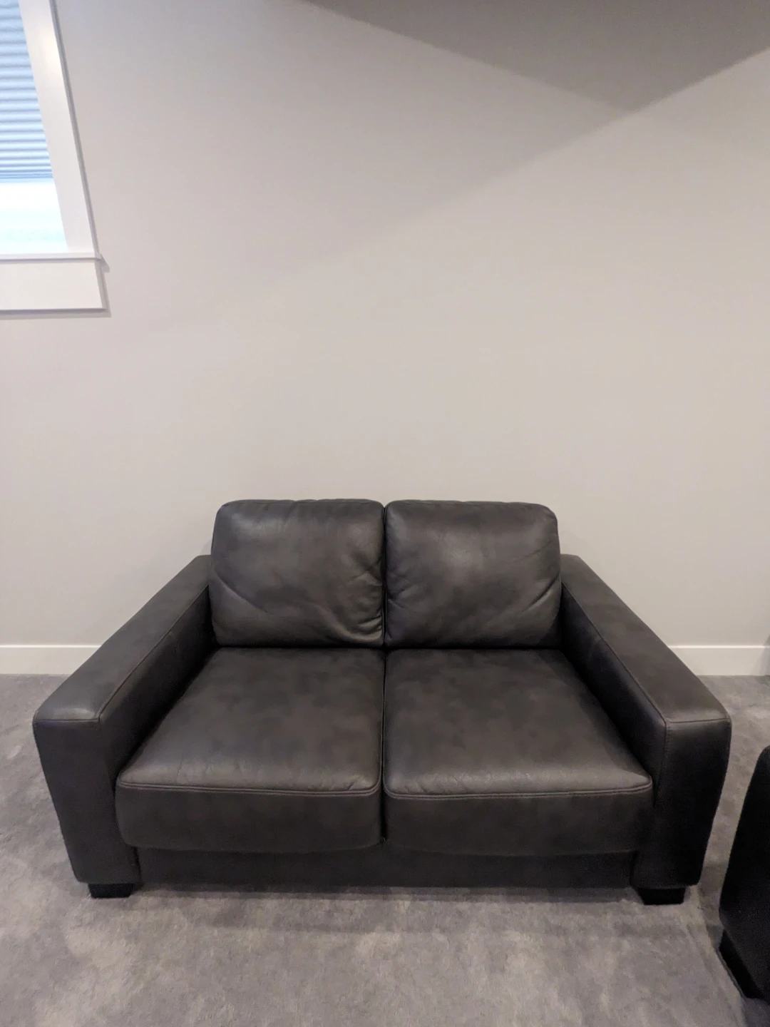 Faux Leather Sofa & Loveseat - photo 2