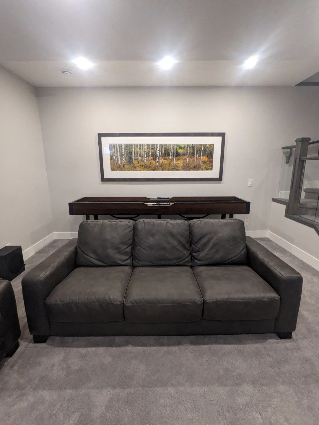 Faux Leather Sofa & Loveseat - photo 3