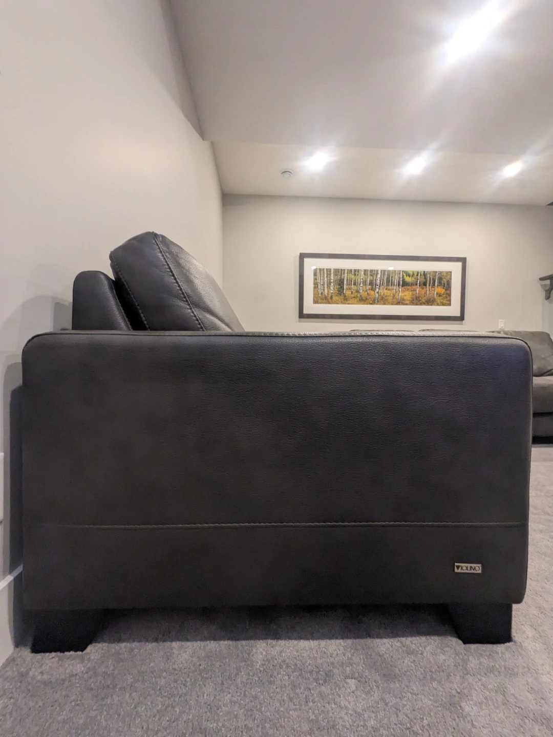 Faux Leather Sofa & Loveseat - photo 4