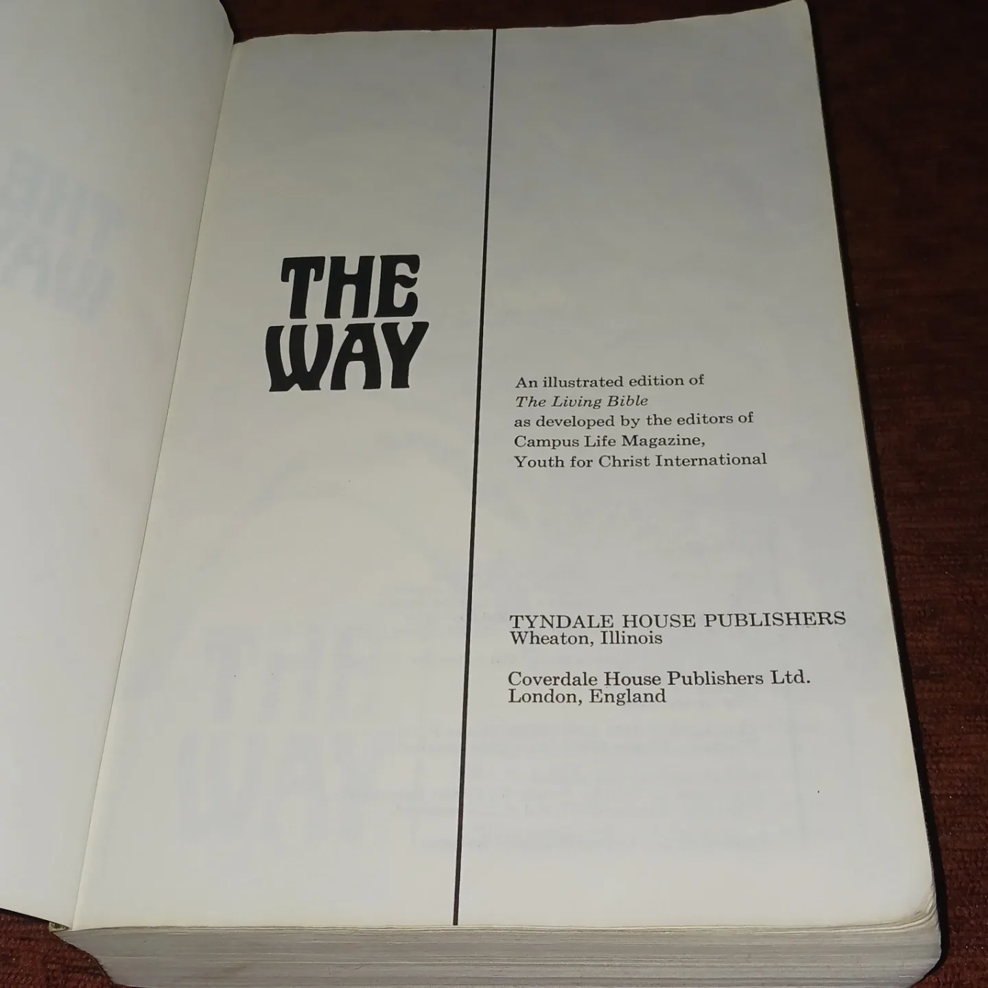 The Way: The Living Bible Illustrated image indicator(3)