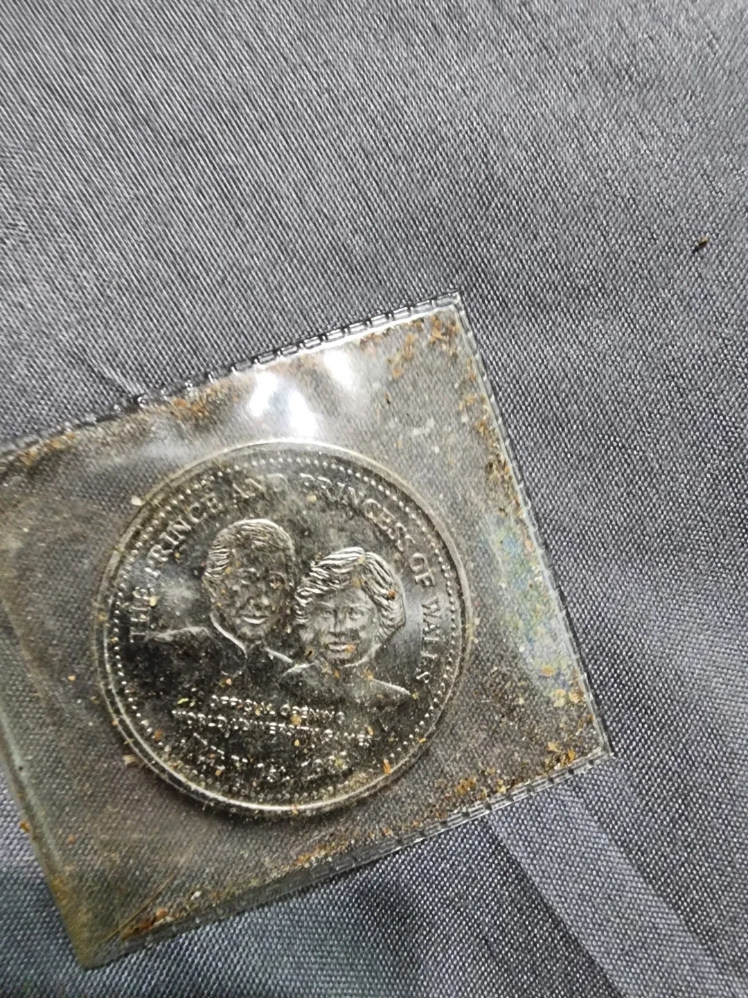 Prince and Princess of Wales Coin