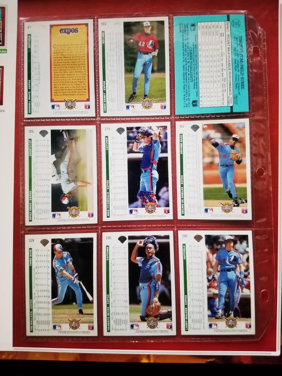 Montreal Expos Baseball Cards image indicator(2)