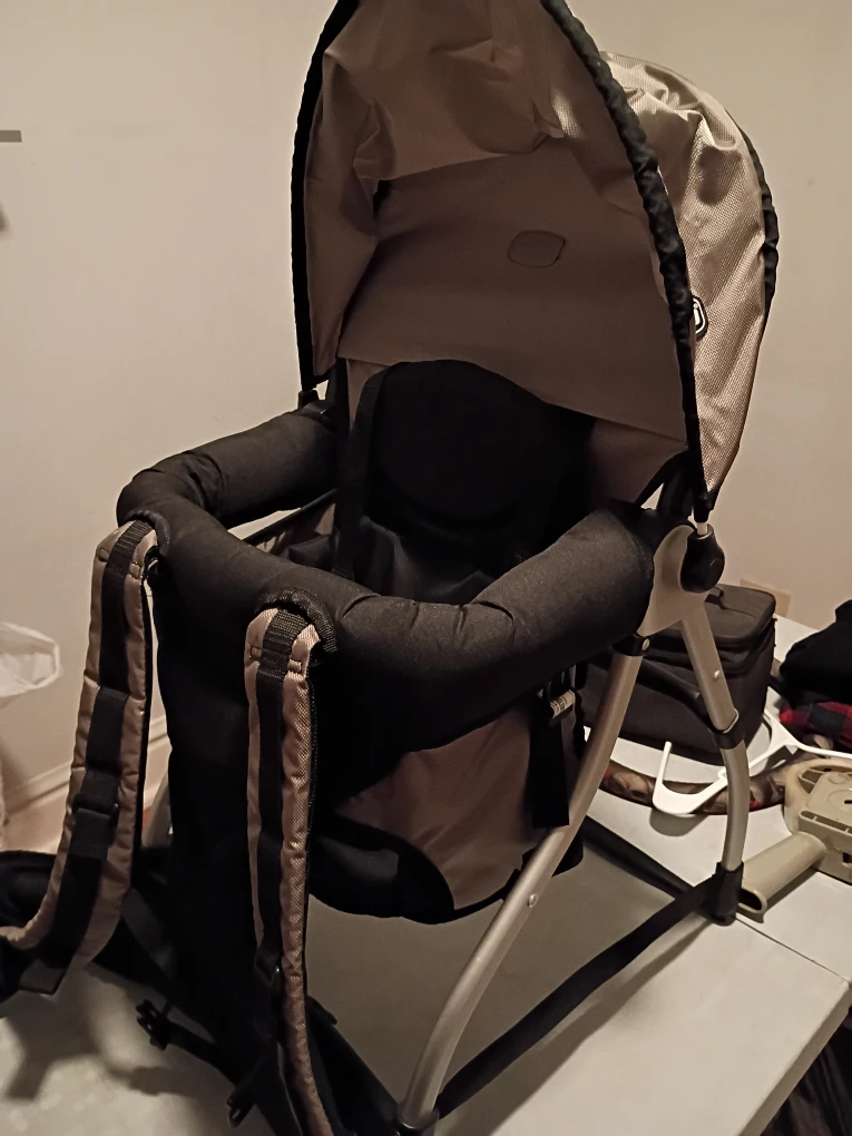 Chicco Backpack Carrier