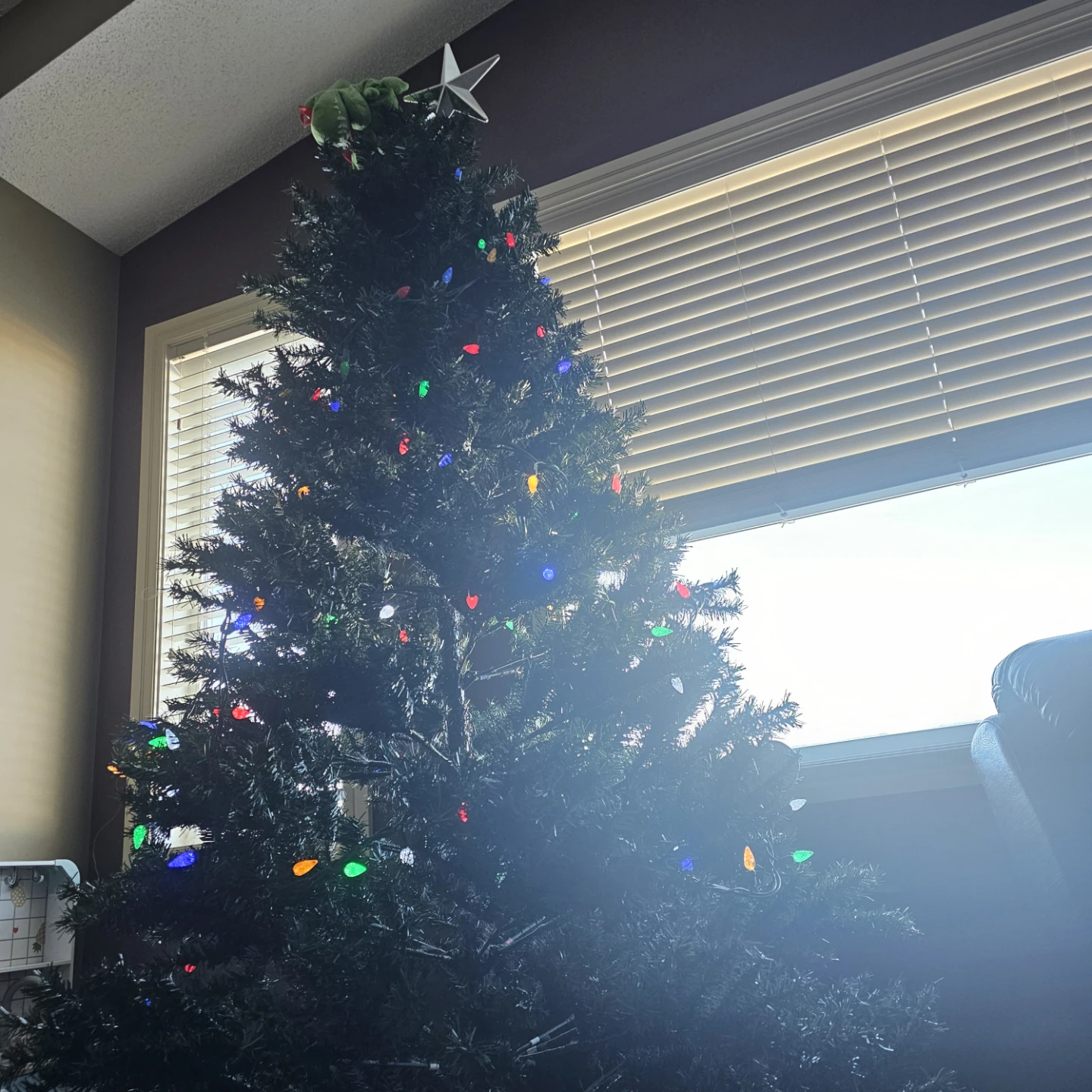Christmas Tree with Lights