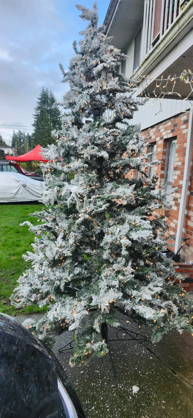 10 ft Vikerman pre lit Christmas tree