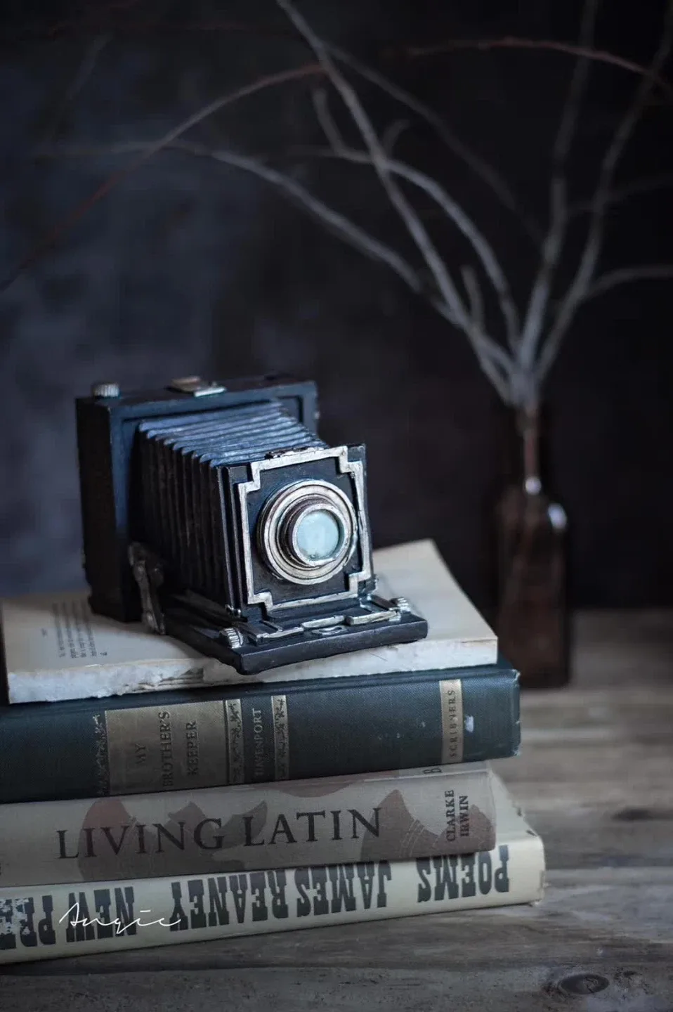 Vintage Decorative Camera