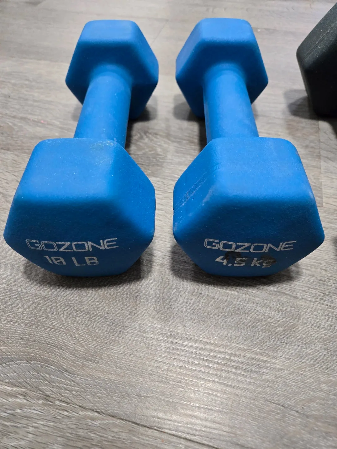 Dumbbell Sets: 10 LB & 15 LB image indicator(2)