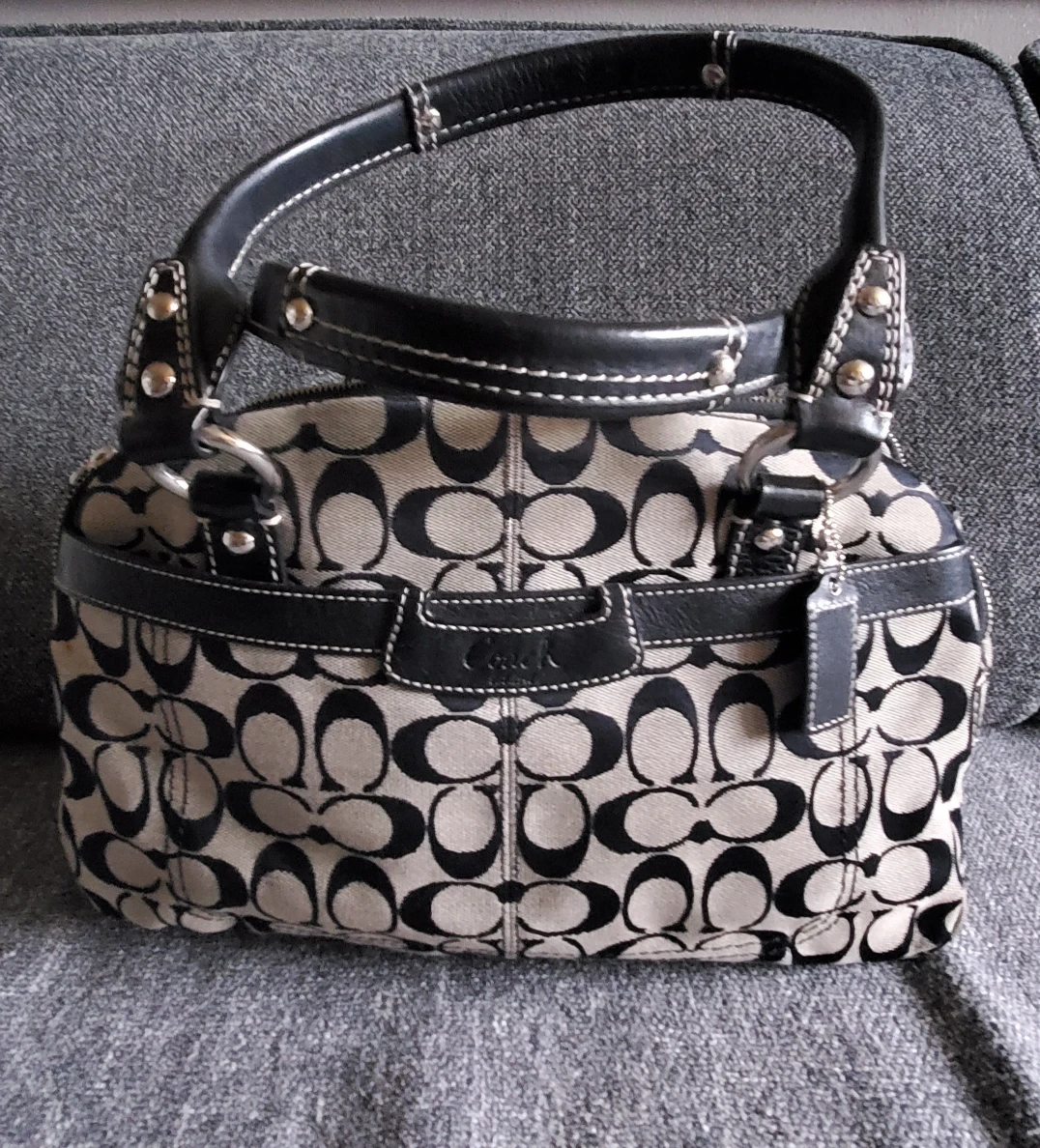 Coach Signature Print Handbag