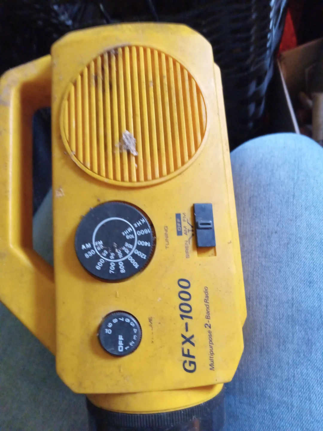 GFX-1000 Multipurpose 2-Band Radio
