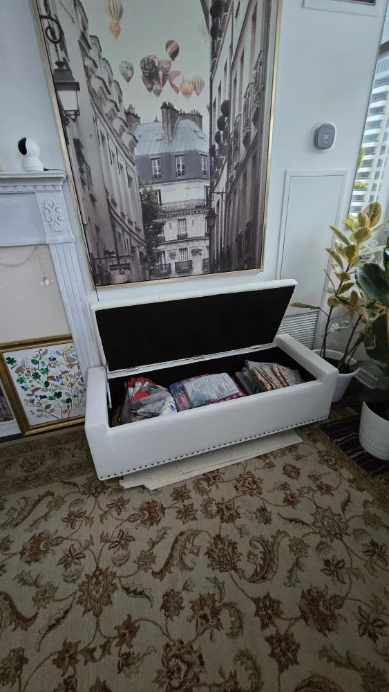 Ottoman with storage image indicator(2)