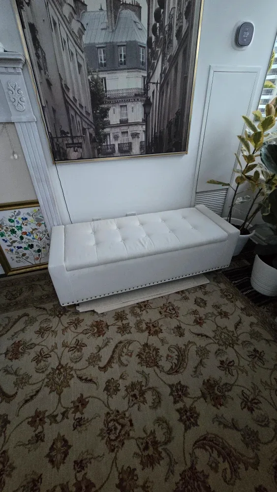 Ottoman with storage image indicator(4)