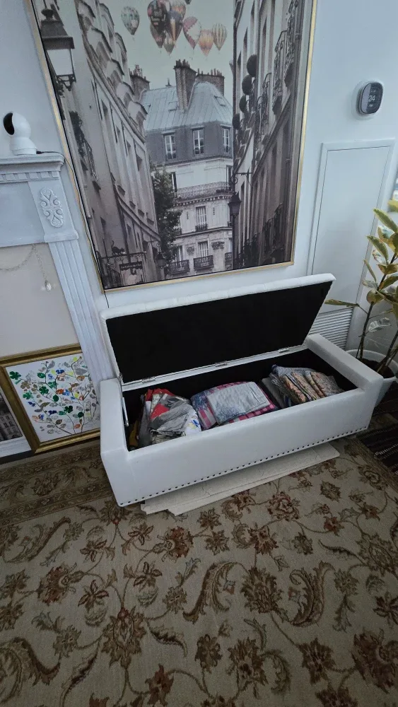 Ottoman with storage image indicator(5)