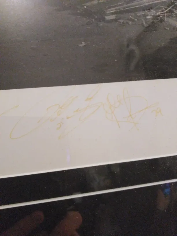 Toronto Maple Leafs Framed Picture image indicator(5)