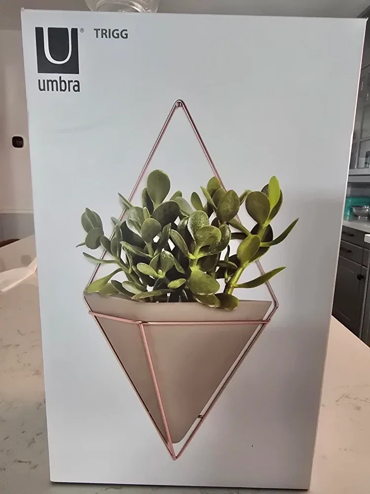 New Umbra Trigg Wall Vessel image indicator(3)