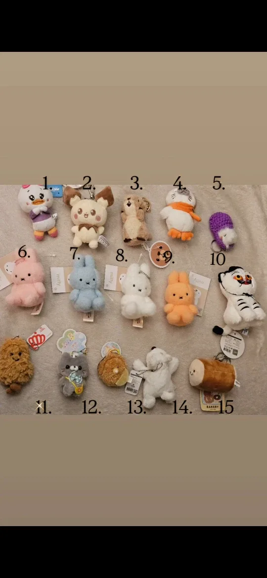 Assorted Plush Keychains - Cute & Collectible!