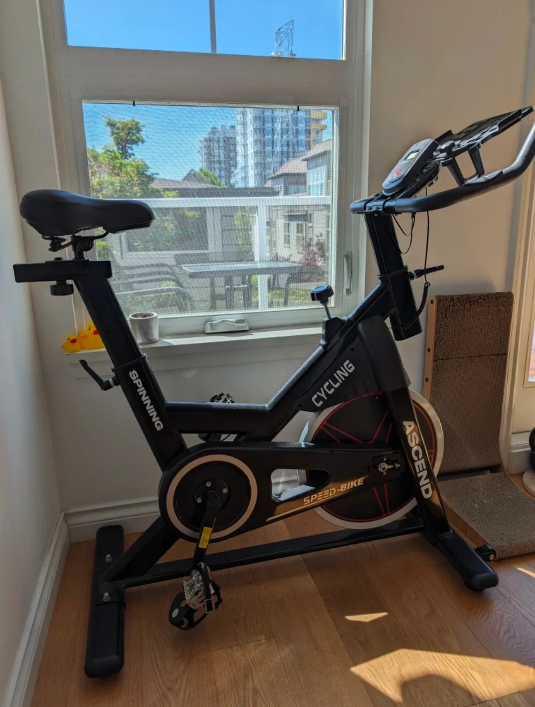 Ascend Spinning Cycling Speed Bike