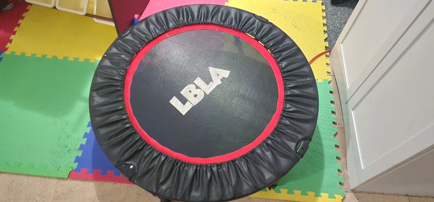 LBLA Mini Trampoline - photo 2
