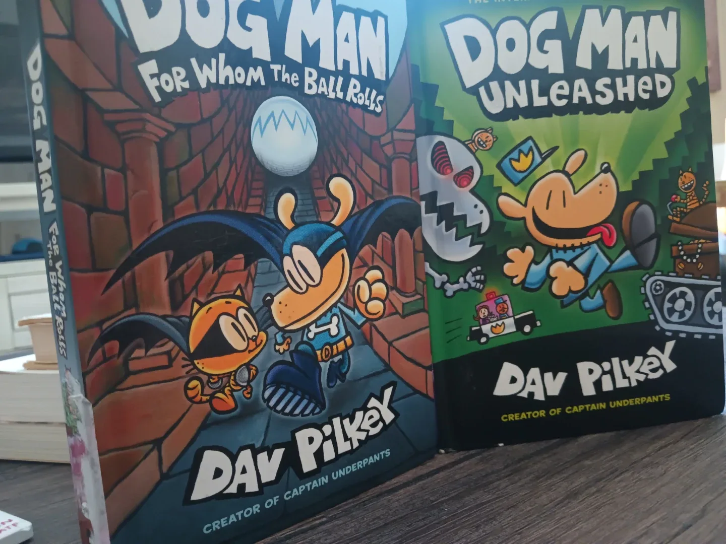 Dog Man Books by Dav Pilkey