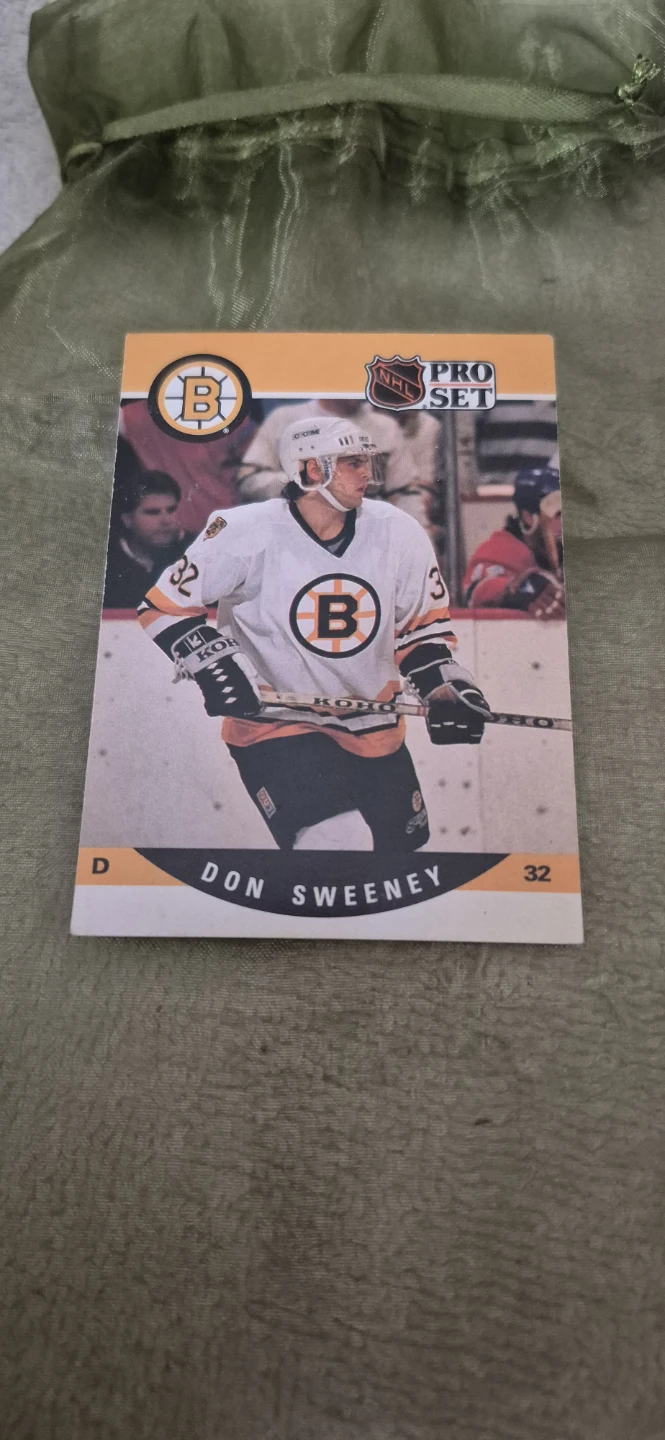 Don Sweeney Boston Bruins Pro Set Card