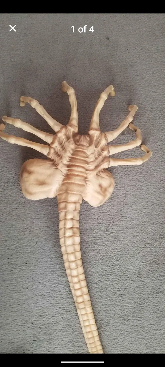 Alien Facehugger Life Size , 1979
