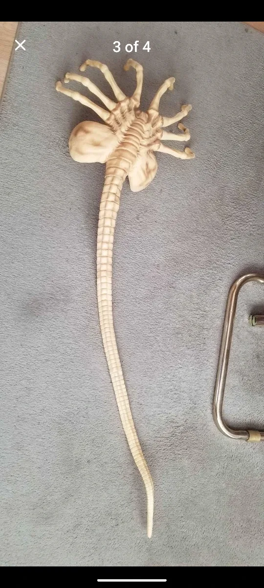 Alien Facehugger Life Size , 1979 image indicator(3)