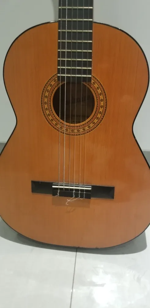 Alhambra Paloma Guitar image indicator(9)