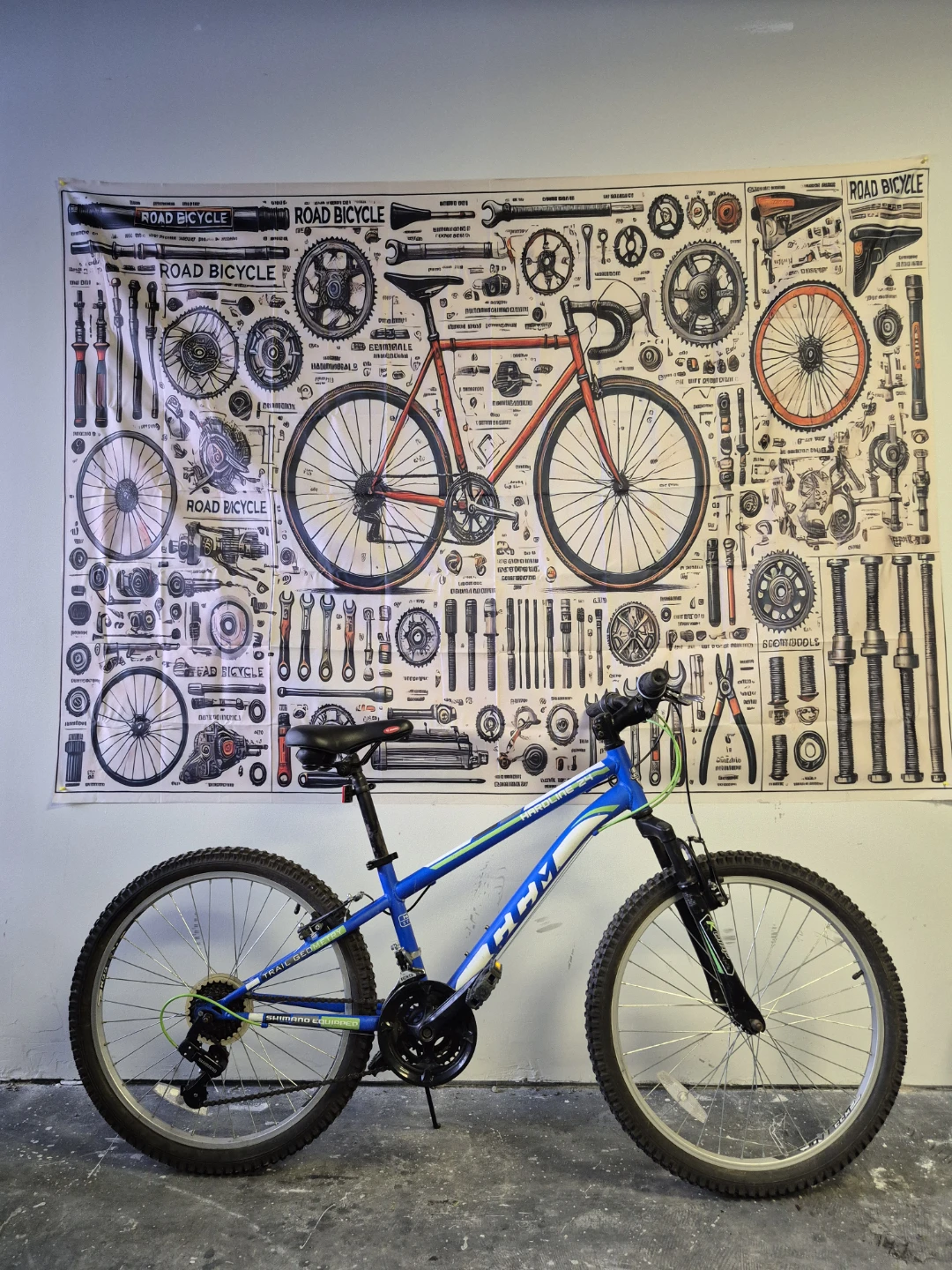 CCM Hardline 24 Mountain Bike - Blue