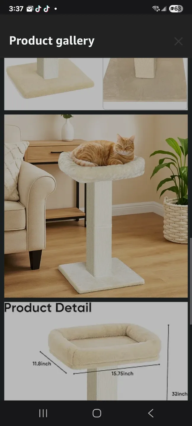 Cat Scratching Post, 32 Perch New image indicator(5)