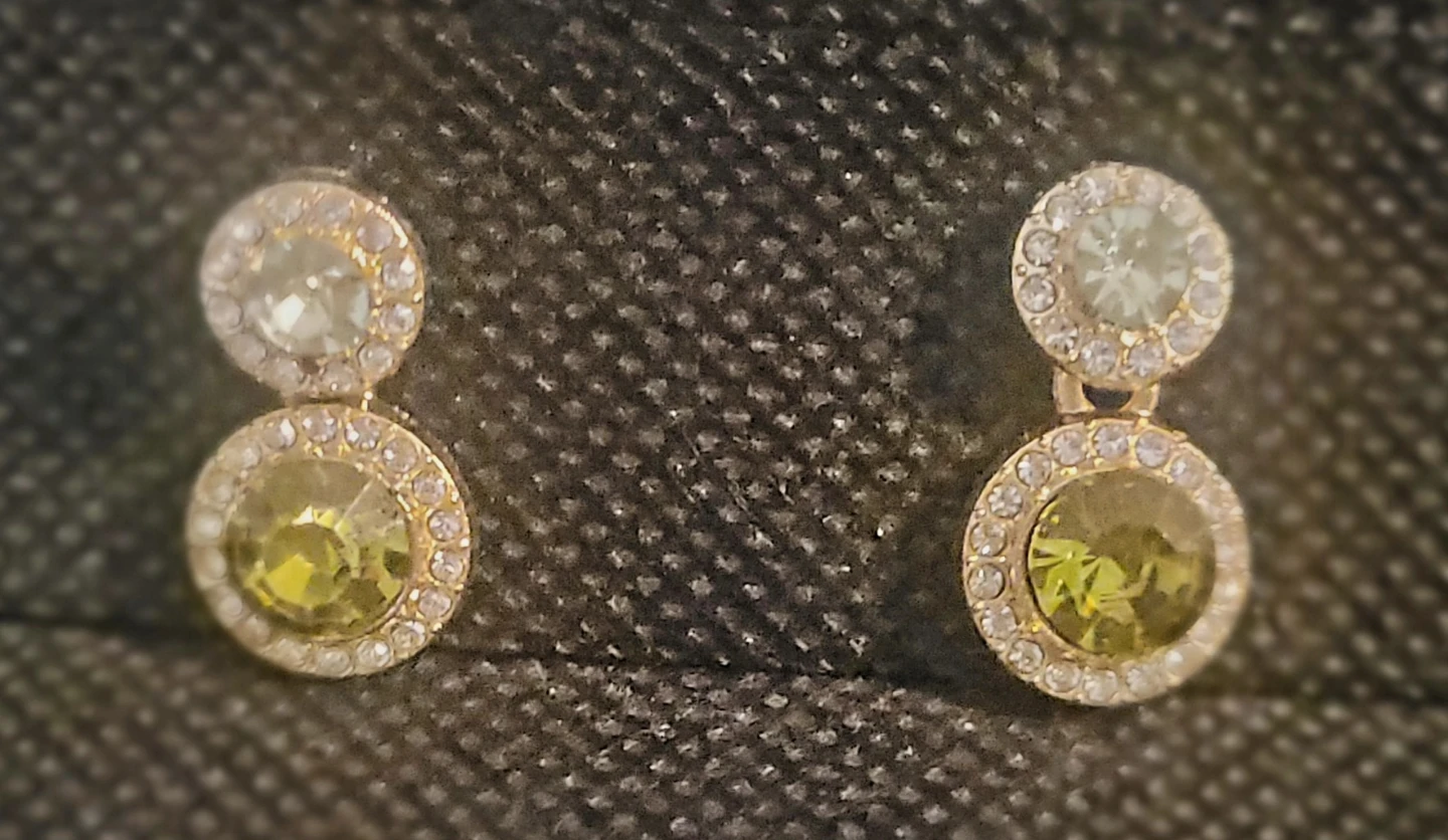 Beautiful Earrings - photo 2