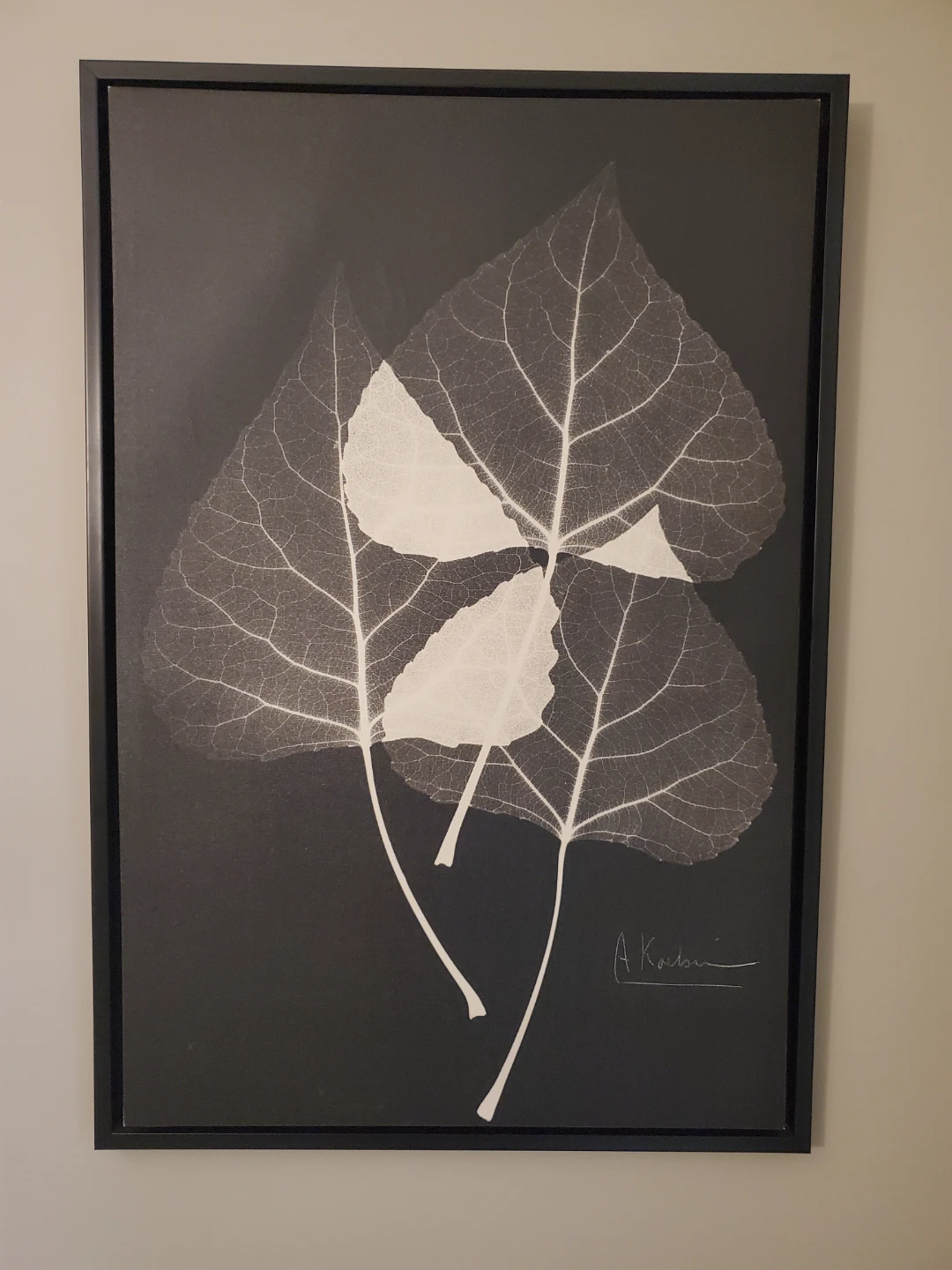 Framed Leaf Print Wall Art