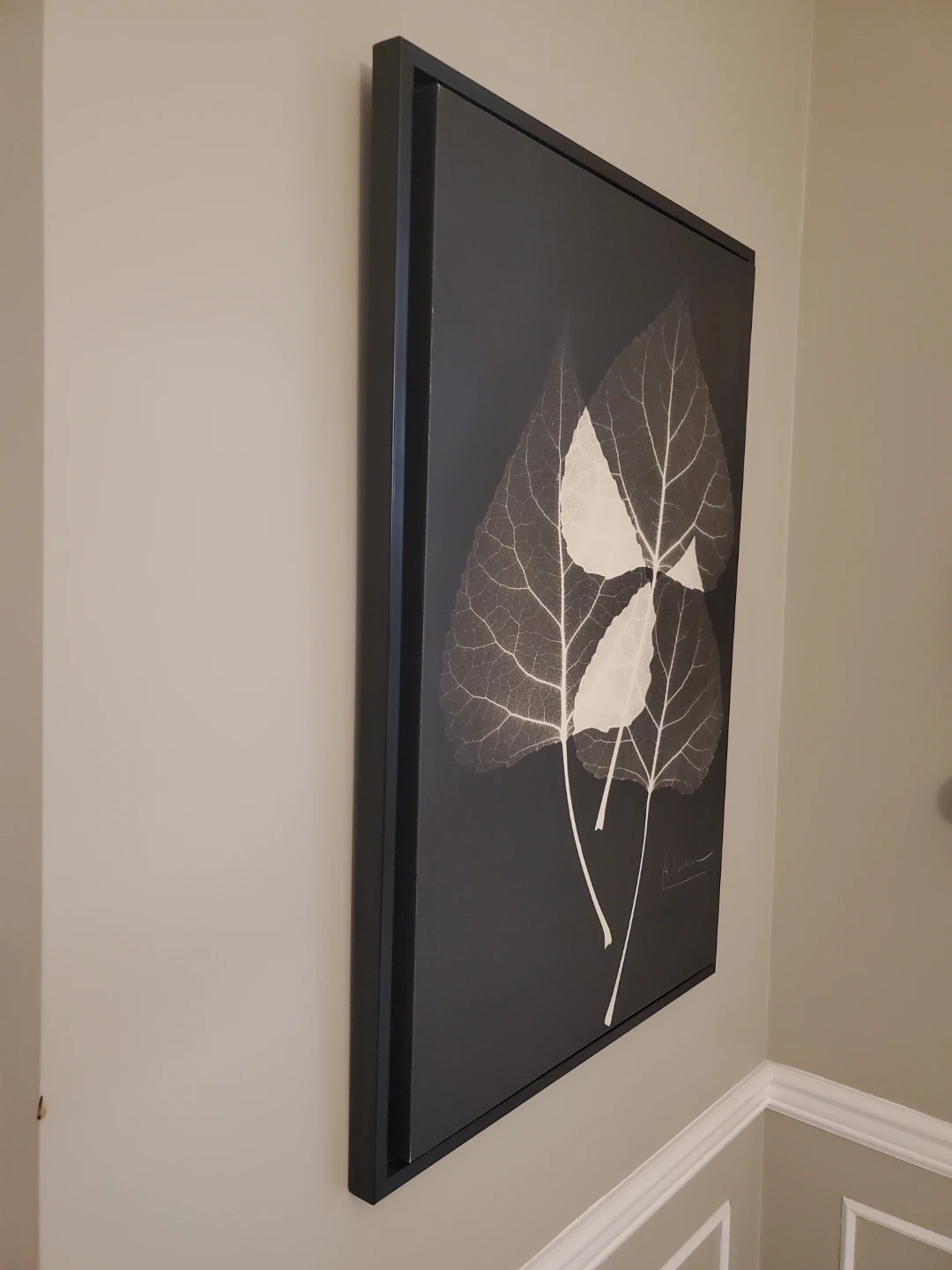 Framed Leaf Print Wall Art - photo 2