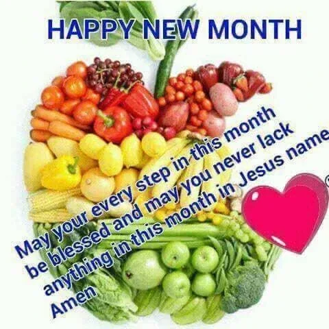 Jems Padded Vest - Size M image indicator(3)