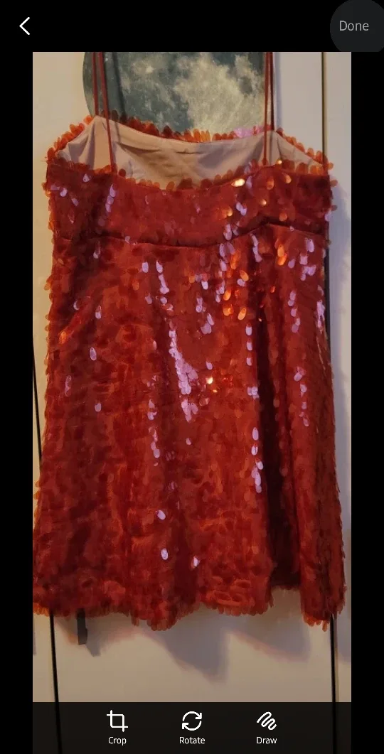 #Cleanout♻️ New Zara Woman Red/Orange Sequin Dress - Size M image indicator(3)