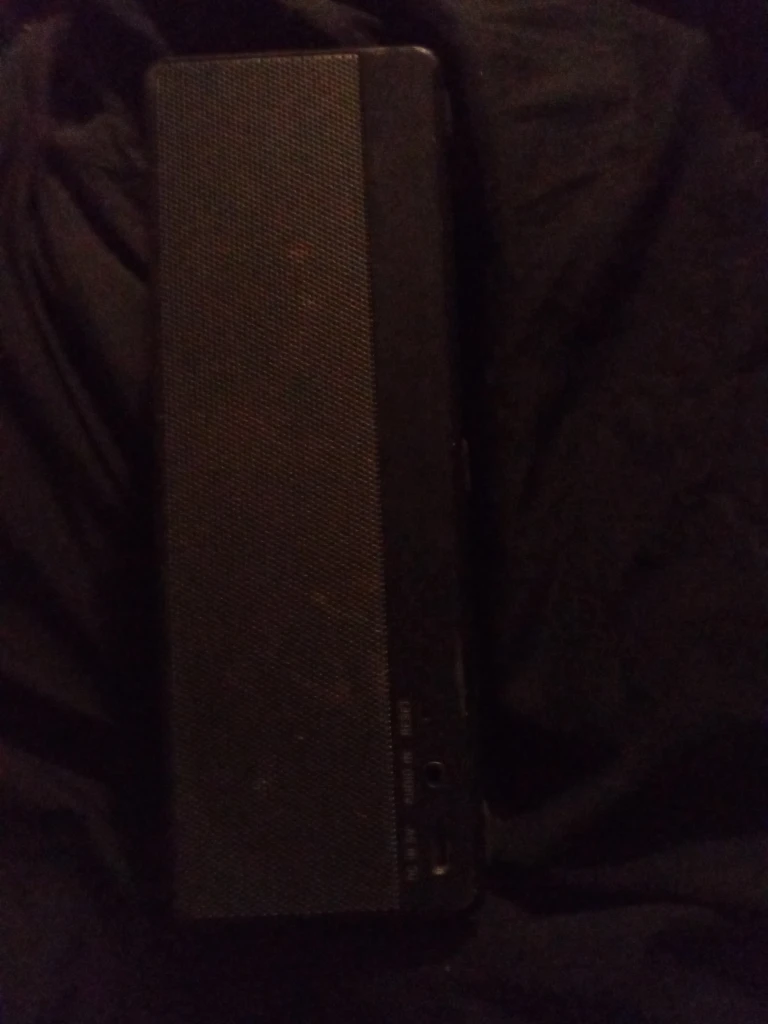 Sony Portable Wireless Speaker - photo 3