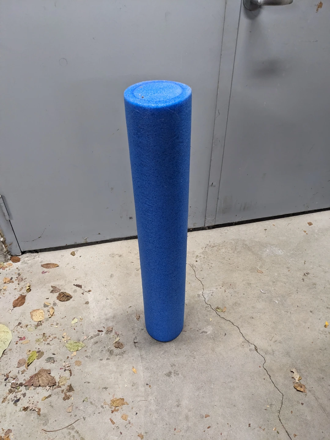 Blue Foam Roller