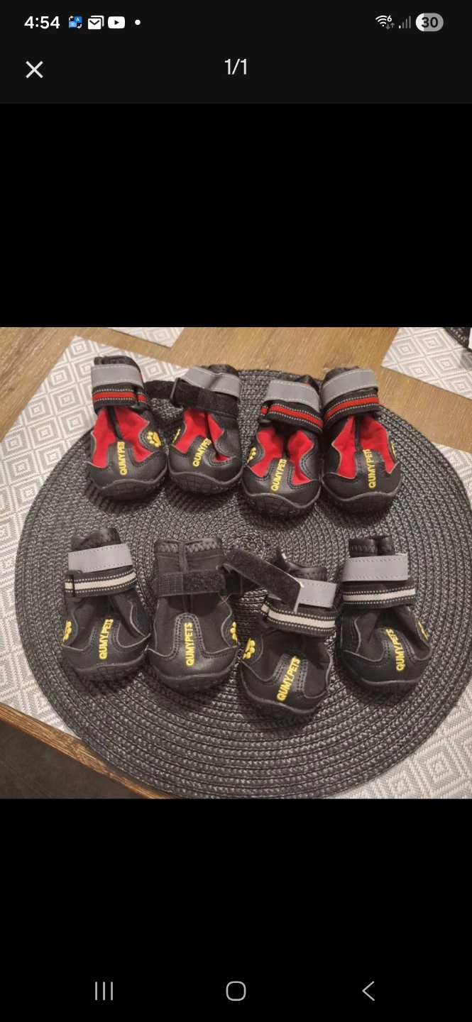 Qumy Pets Dog Boots - Two Sets of 4 🥕