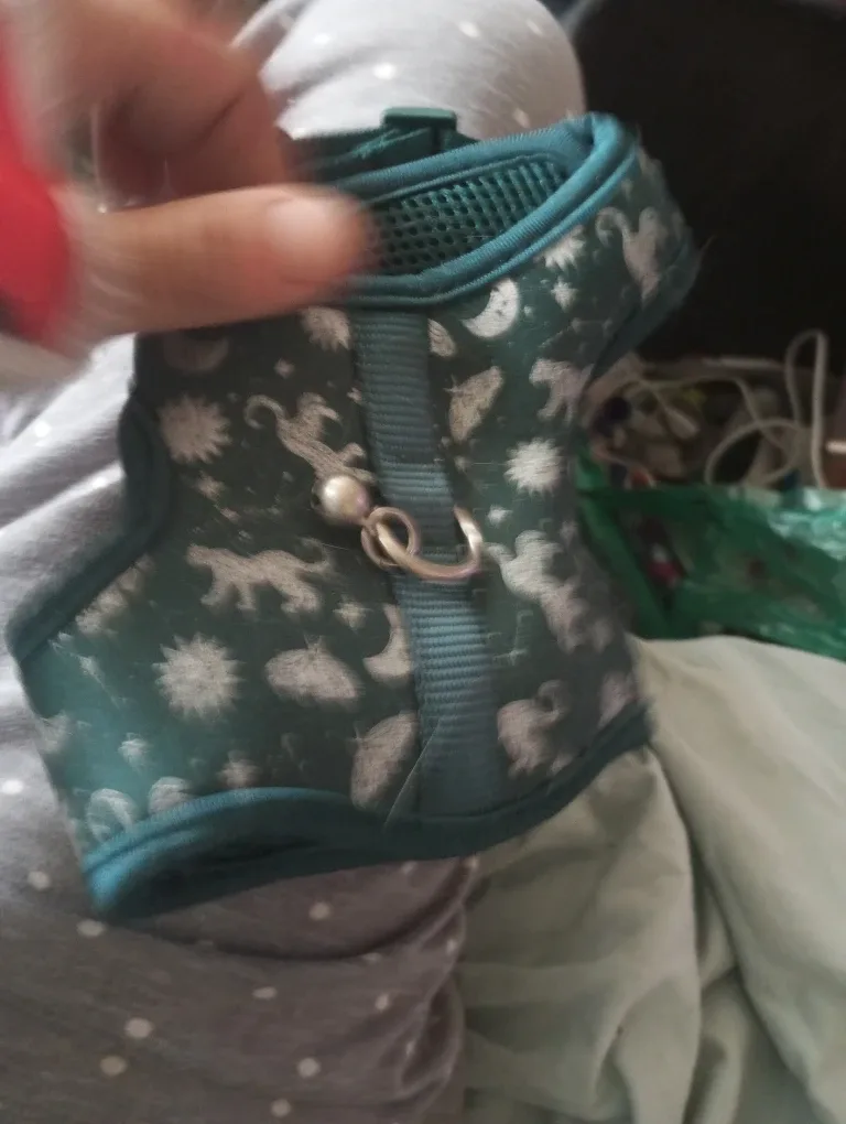 Top Paw Green Patterned pet harness