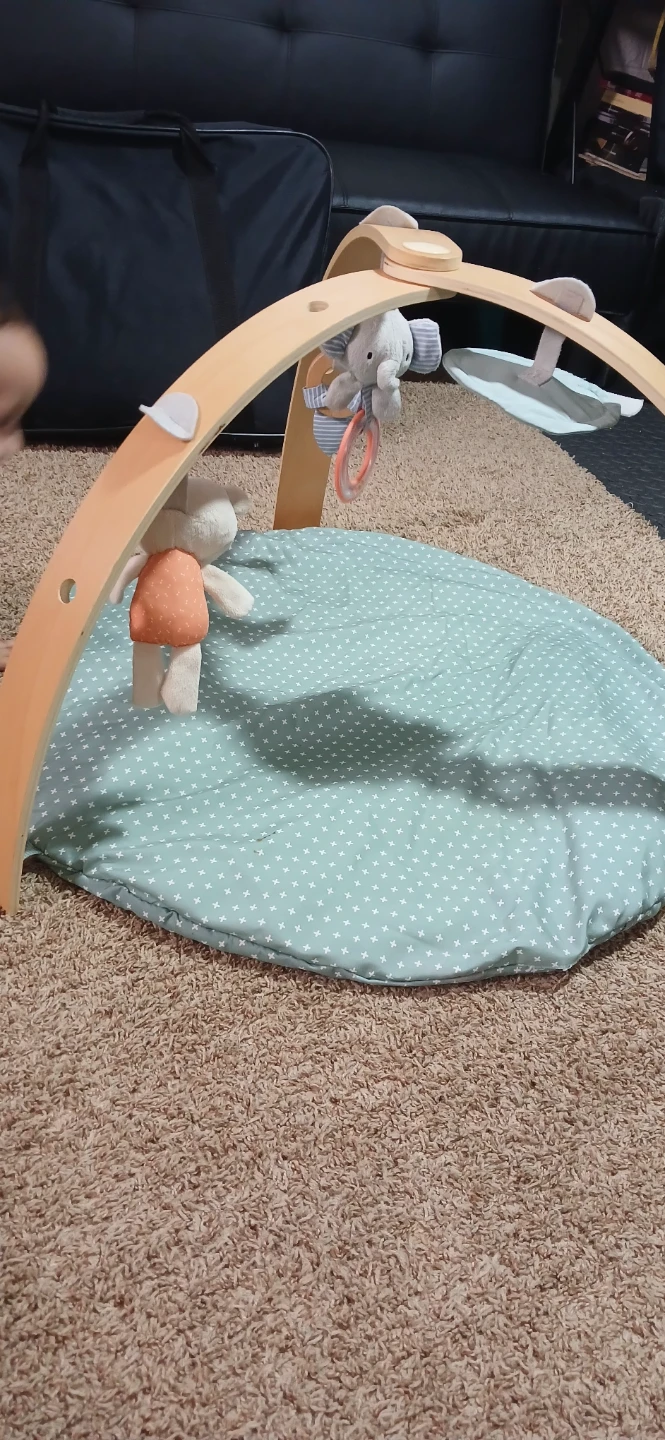 Lovevery Play Gym