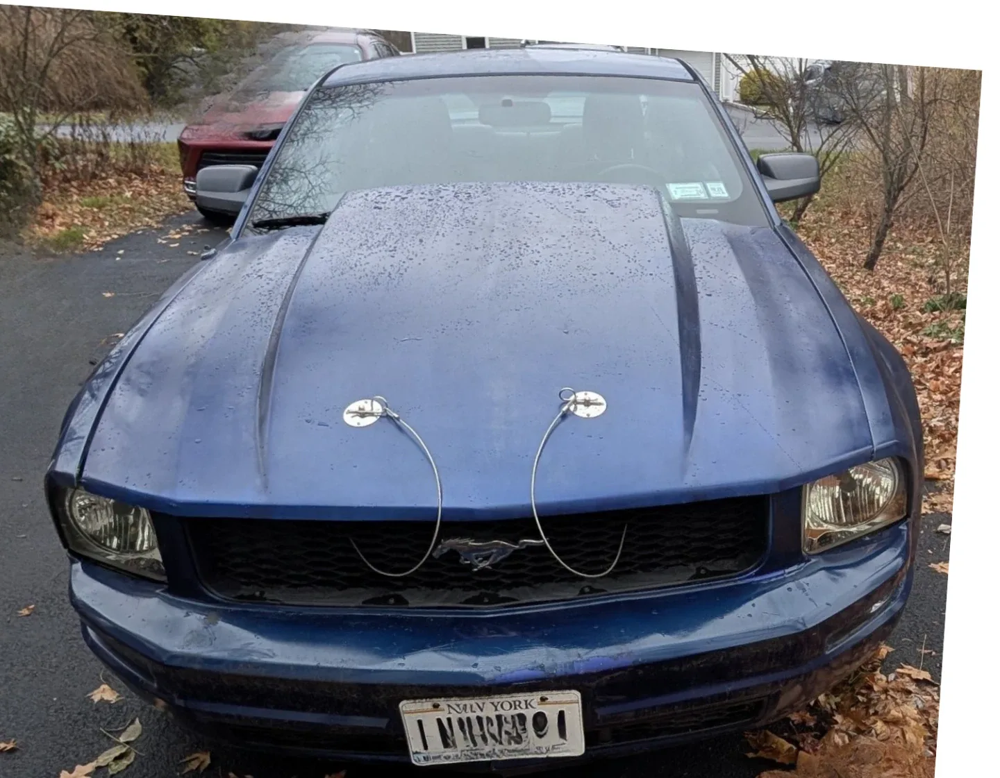 Ford Mustang 2006 image indicator(3)