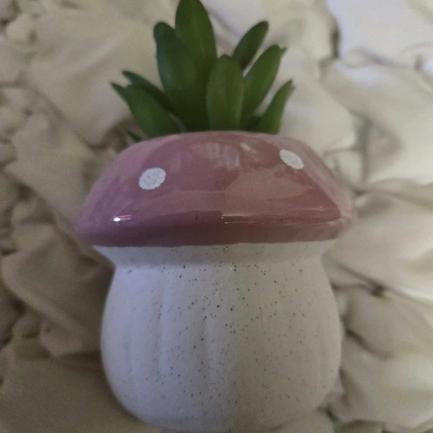 Mushroom Succulent Planter - photo 2
