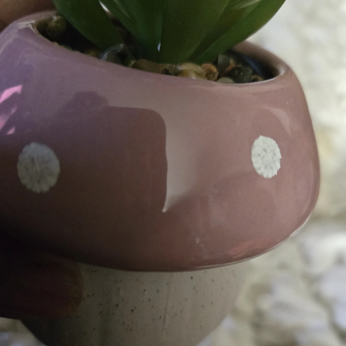 Mushroom Succulent Planter - photo 3
