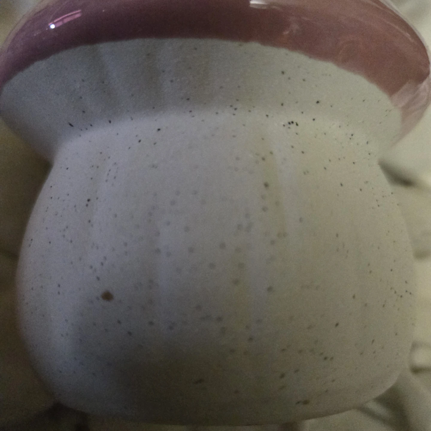 Mushroom Succulent Planter - photo 5