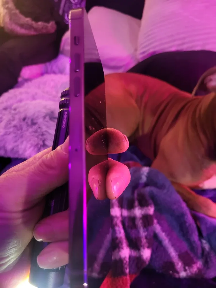 Apple iPhone 14 Pro Max 512GB - Purple image indicator(6)