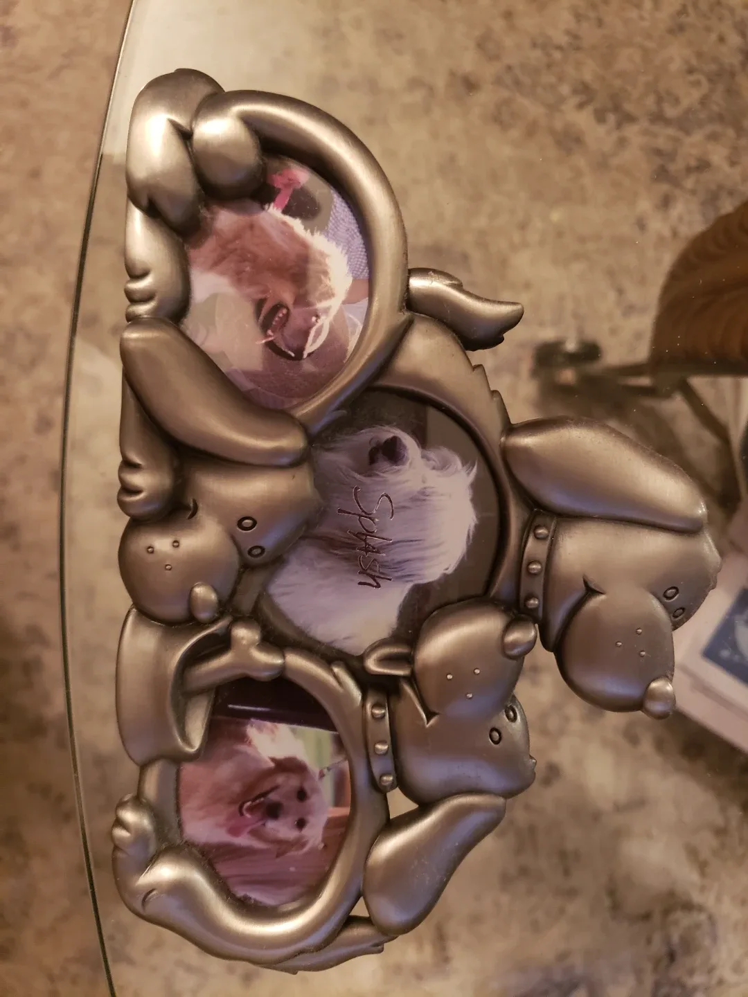 Dog Picture Frame - Holds 3 Photos