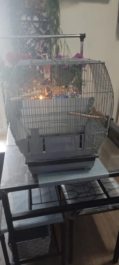 Bird Cage - Good Condition image indicator(2)